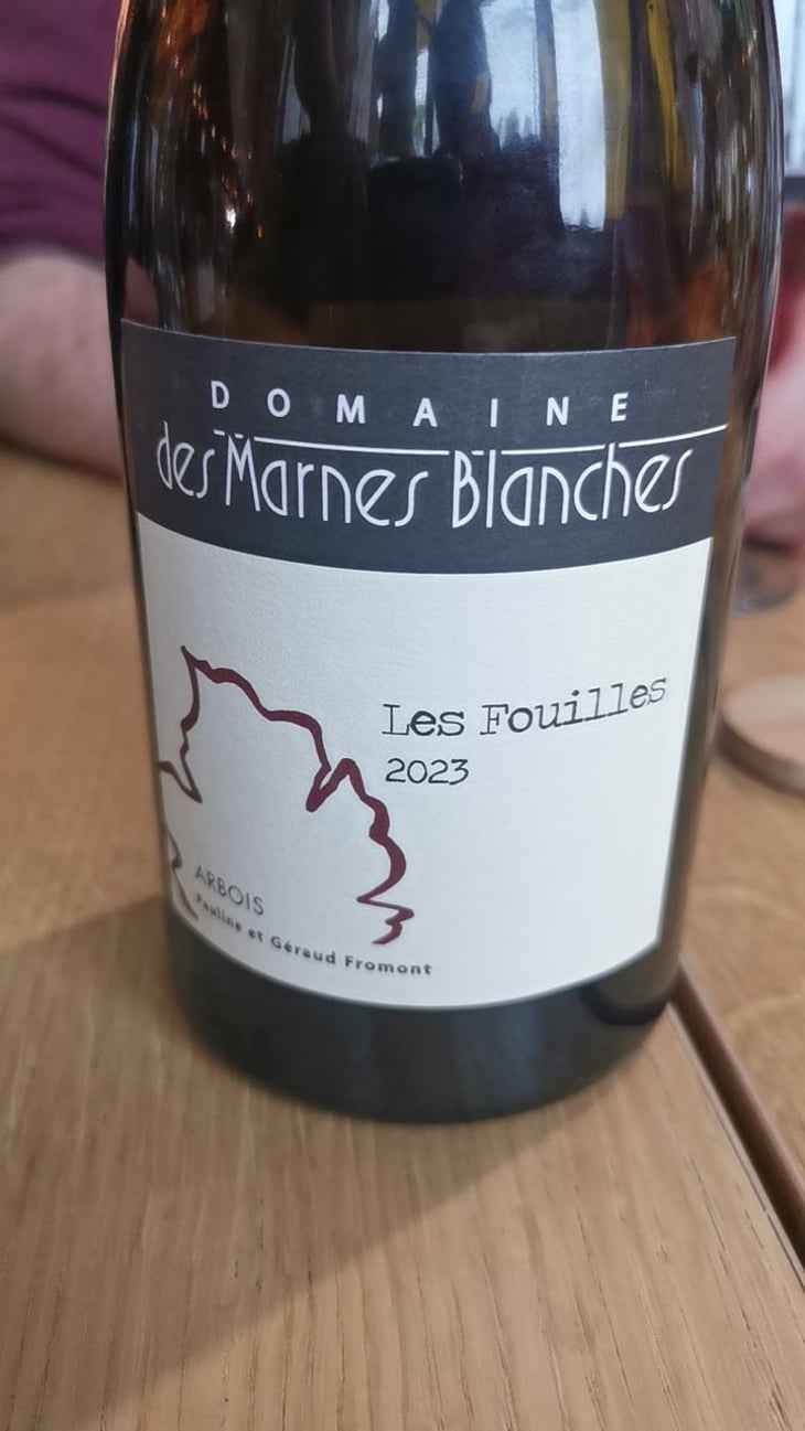 Poulsard - Domaine Des Marnes Blanches - Pauline & Géraud Fromont 