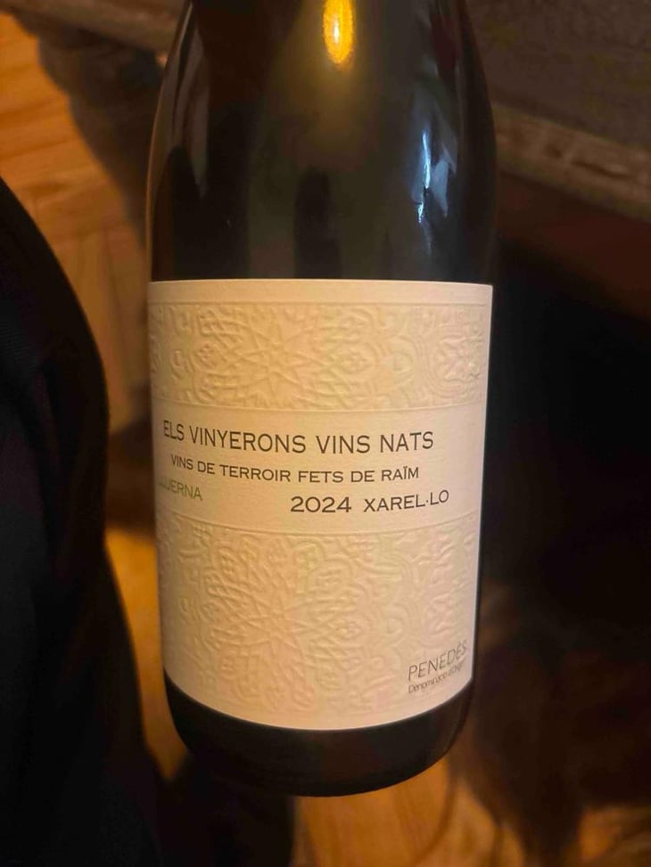 Pregadeu Brut - Els Vinyerons / Sin Project - Amós Bañeres Merinero & Alex Ruiz Masachs 
