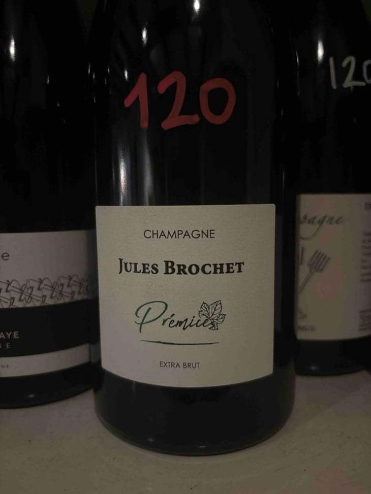 Prémice - Jules Brochet - Pierric Brochet -2016