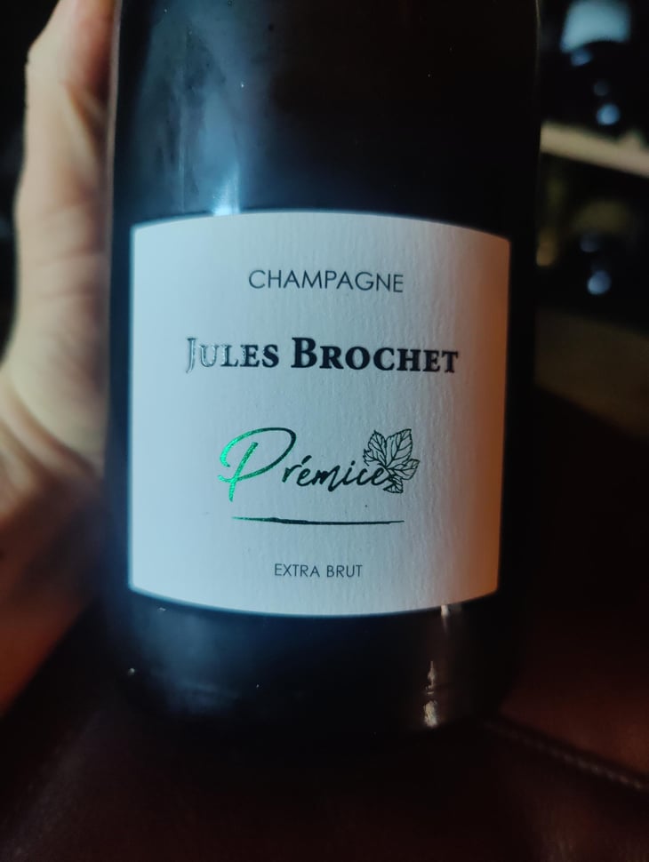 Prémice - Jules Brochet - Pierric Brochet -2016