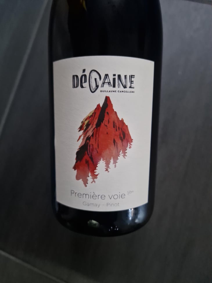 Première voie - Degaine - Guillaume Cancelloni -2023
