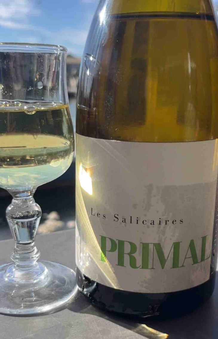 Primal - Les Salicaires - Vincent Lafage 