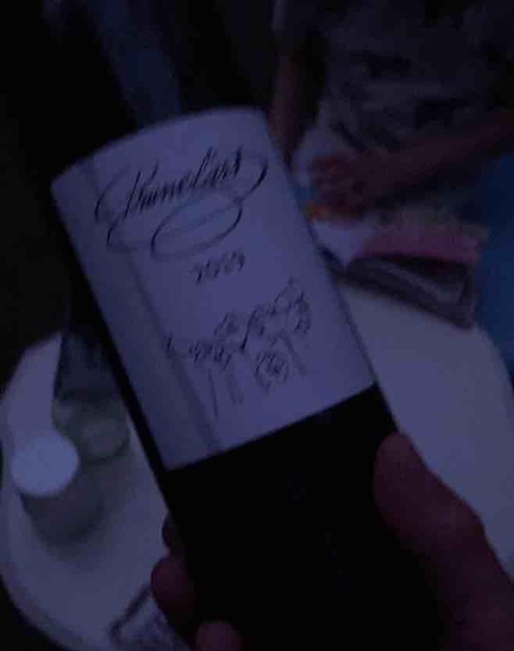 Prunelart - Domaine Plageoles - Bernard, Florent & Romain Plageoles 