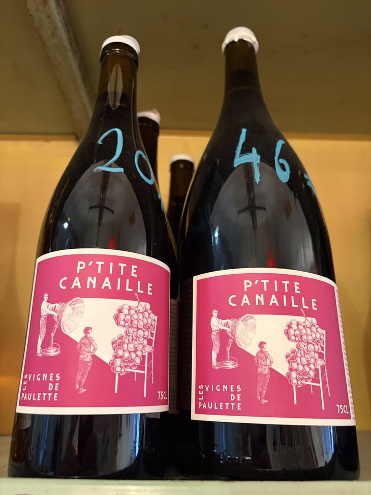 P'tite canaille - Les Vignes de Paulette - Clara Cauquil et Simon Mialon -2022