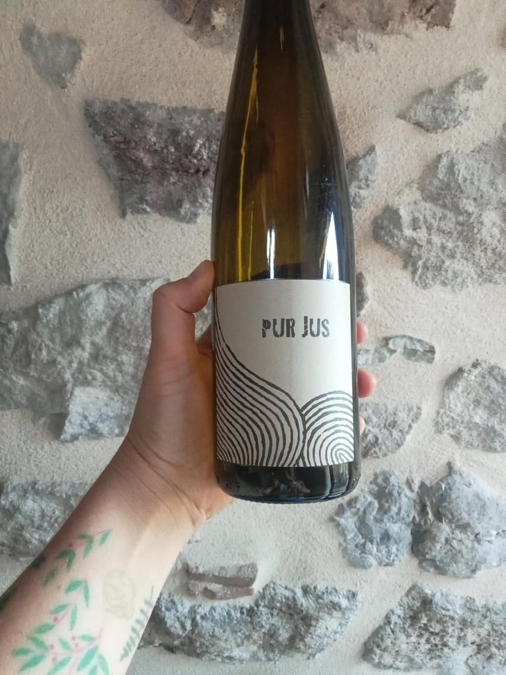 Pur Jus - Léo Dirringer - Léo Dirringer 