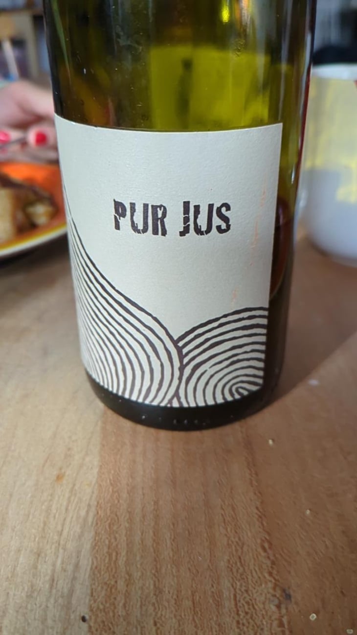Pur Jus - Léo Dirringer - Léo Dirringer 
