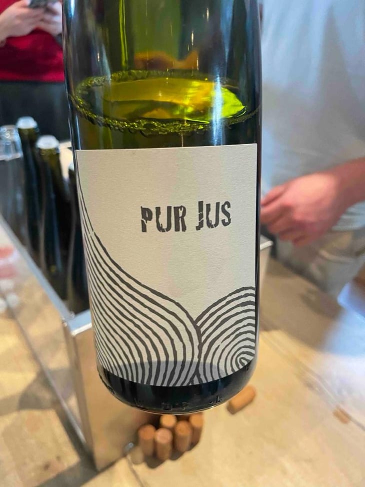 Pur Jus - Léo Dirringer - Léo Dirringer 