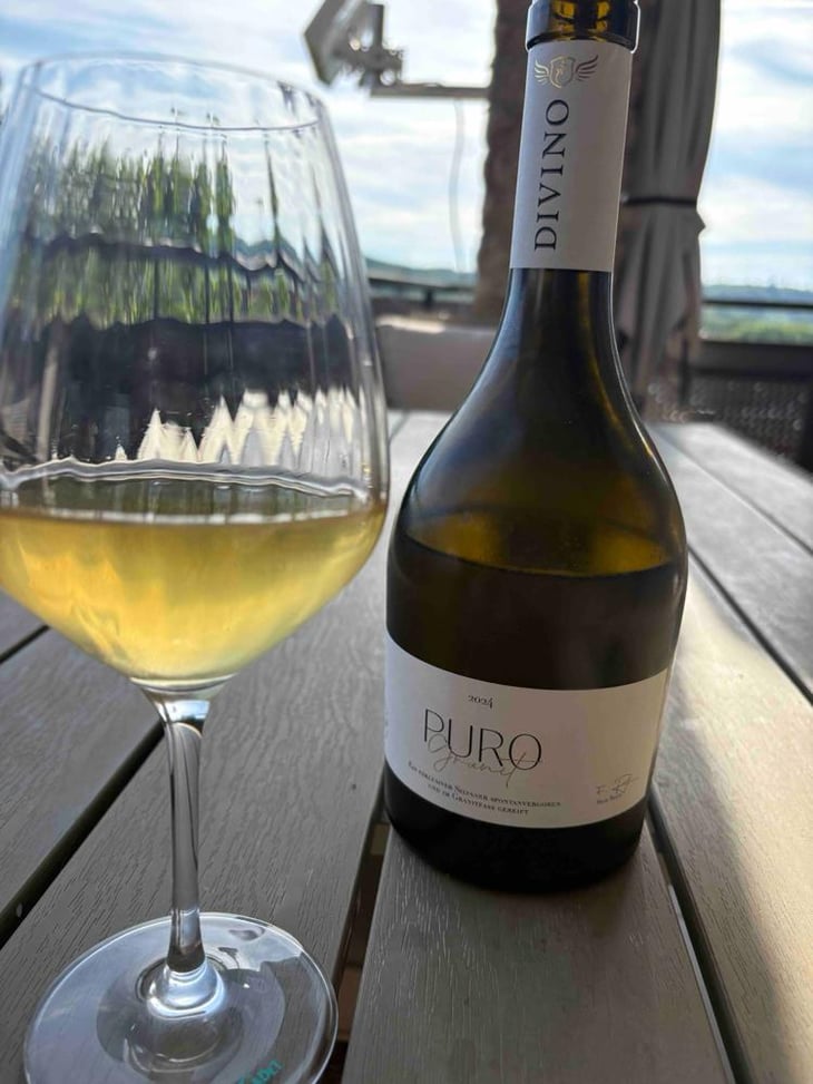 Puro Granit - Divino - Divino -2024