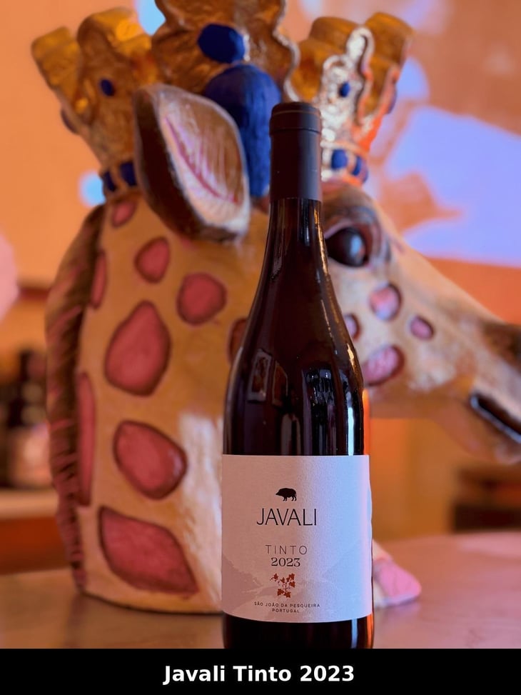Quinta Do Javali - Quinta Do JAVALI - Antonio Mendes 