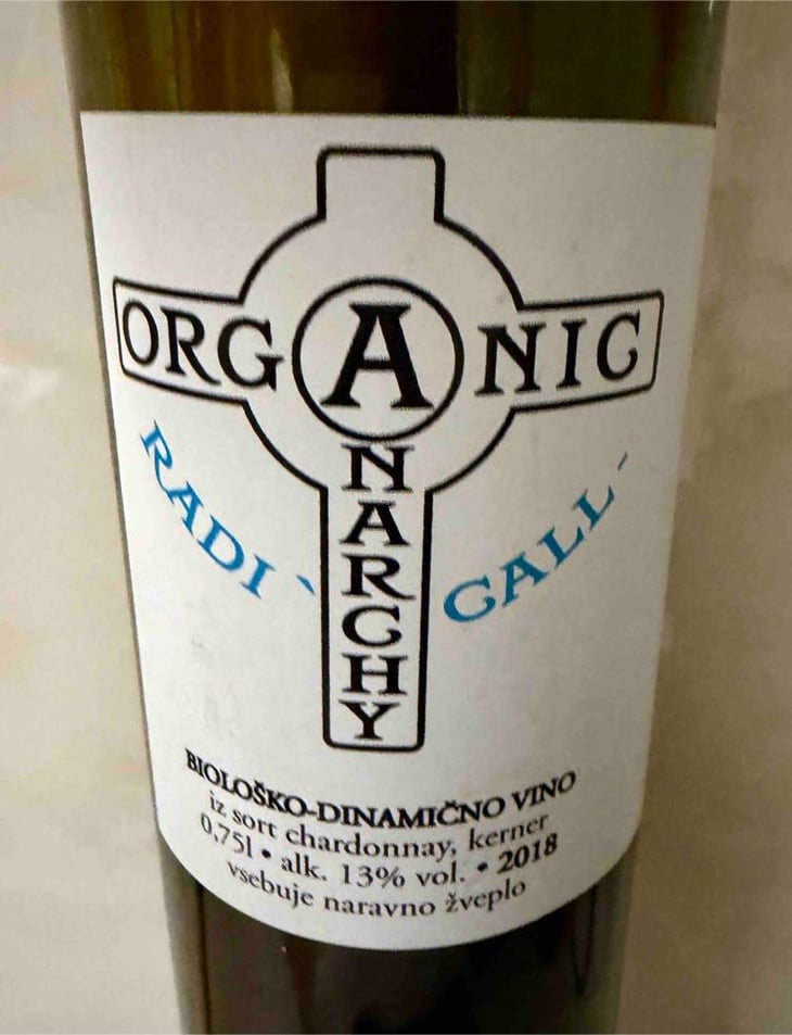 Radicall - Organic Anarchy - Aci Urbajs -2021