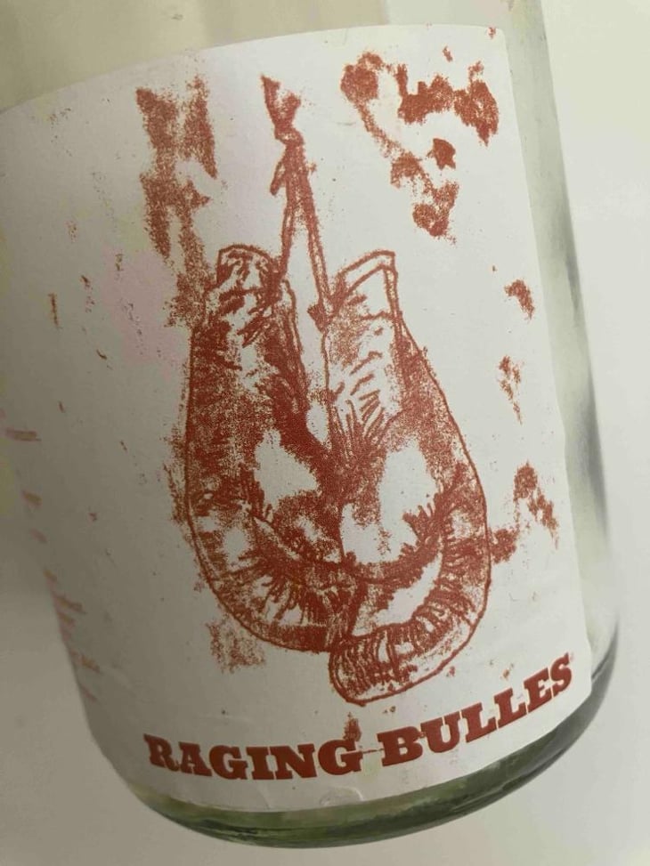 Raging bulles - Les Infiltrés - Frédéric Hauss 