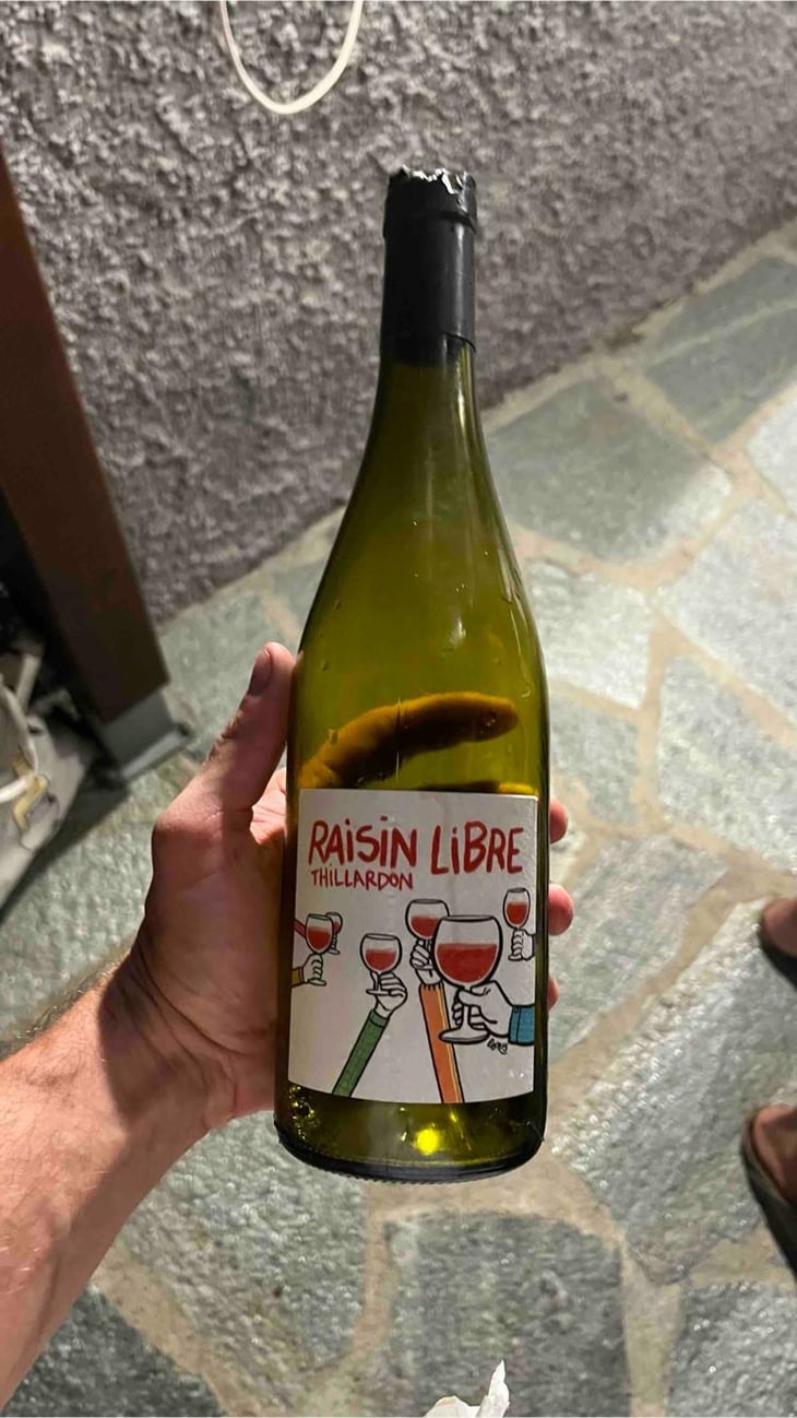 Raisin Libre - Domaine Thillardon - Aude, Jean-Baptiste, Charles et Paul-Henri Thillardon 