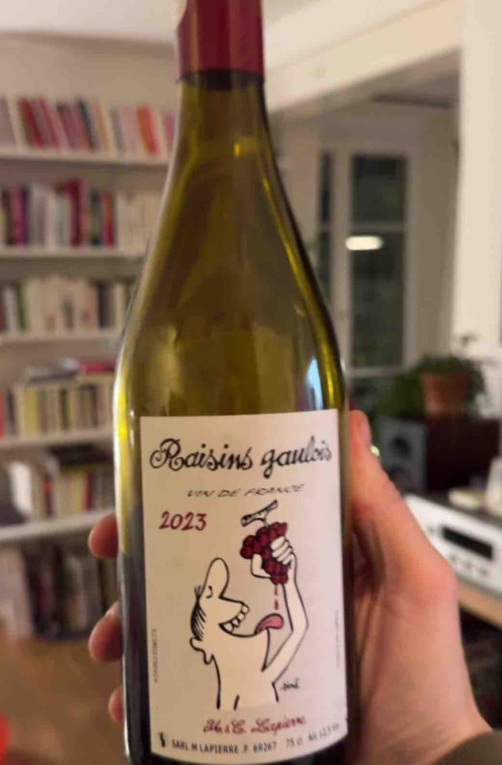 Raisins Gaulois - Domaine Marcel Lapierre - Mathieu & Camille Lapierre 