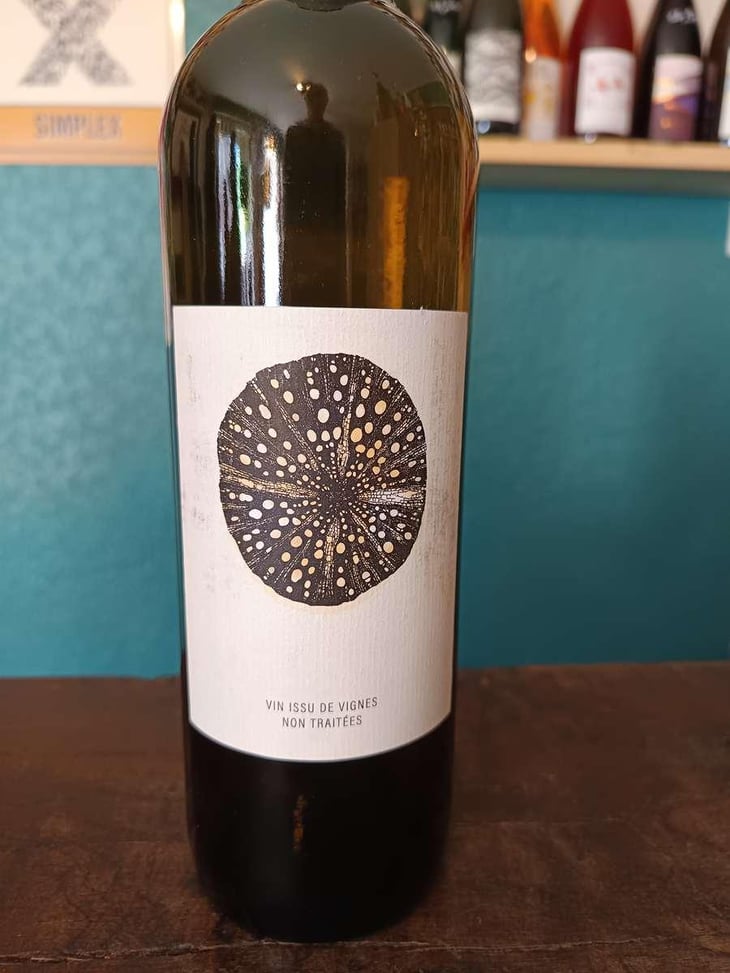 Raisis Blanc - Roman Des Vignes - Roland et Roman Tournier -2024