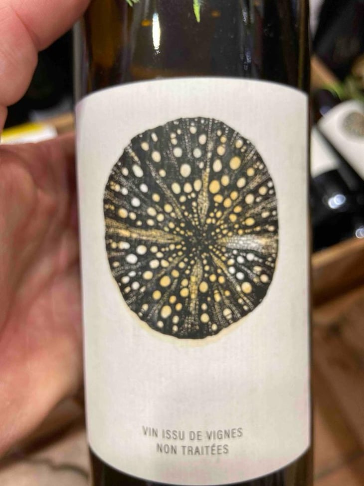 Raisis Blanc - Roman Des Vignes - Roland et Roman Tournier -2024