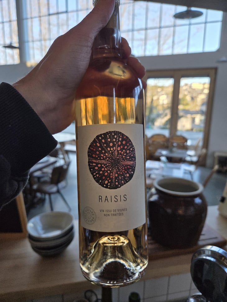 Raisis rosé - Roman Des Vignes - Roland et Roman Tournier -2024