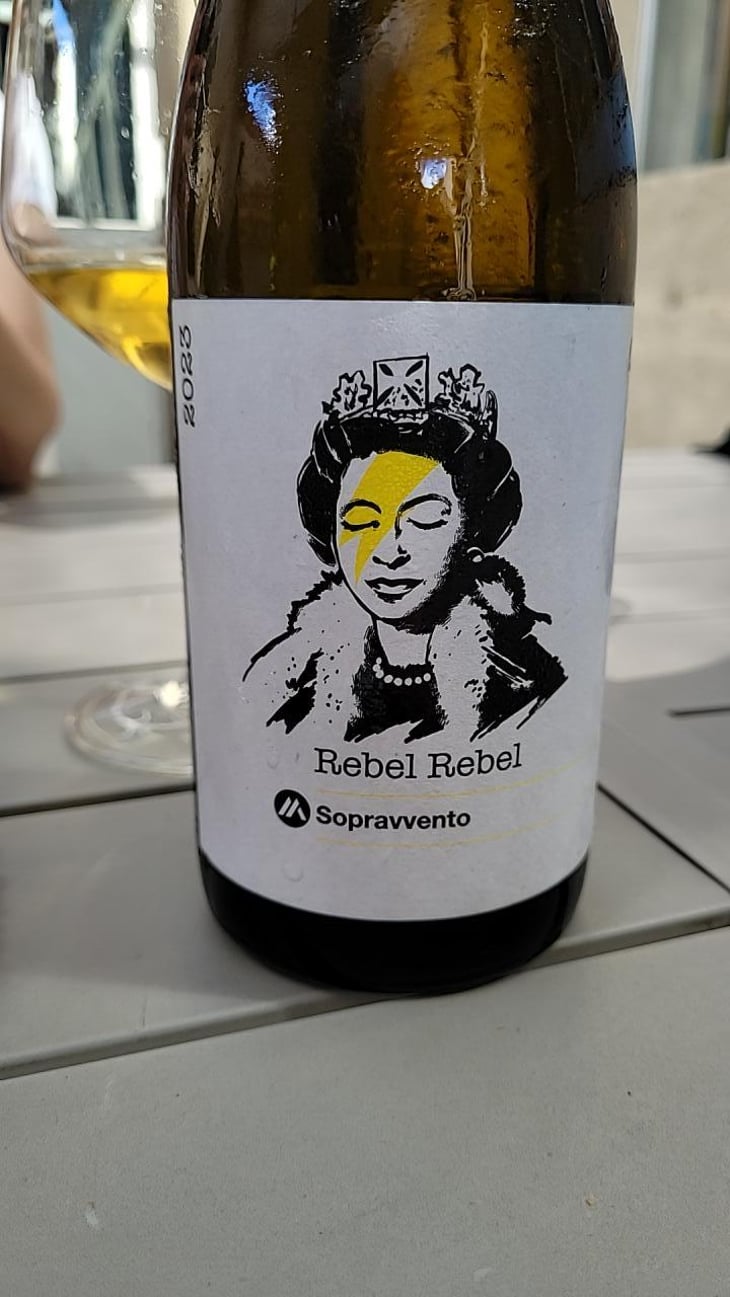 Rebel Rebel - Rebel Rebel - Alfredo Egia -2019