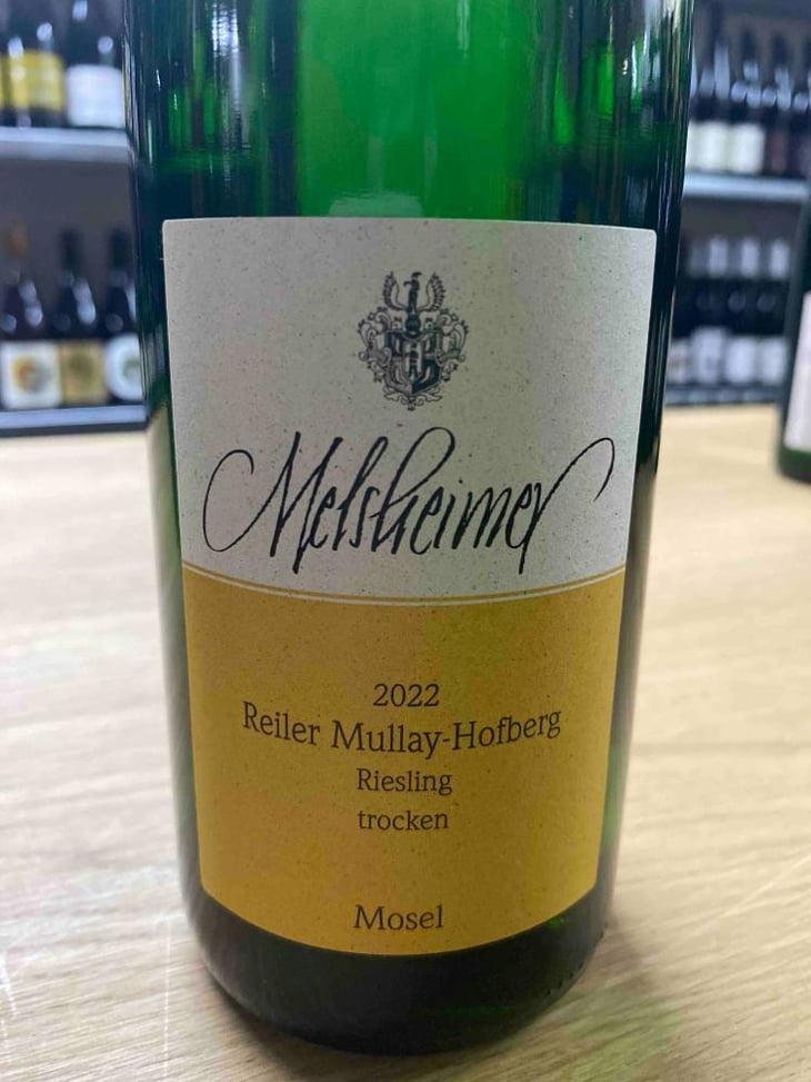 Reiller Mullay-Hofberg Riesling Trocken - Weingut Thorsten Melsheimer - Thorsten Melsheimer -2022