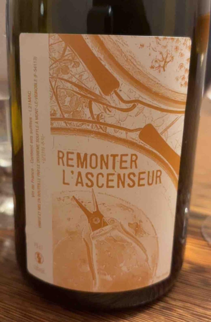 Remonter l'Ascenseur - Stéphane Cyran - Stéphane Cyran 