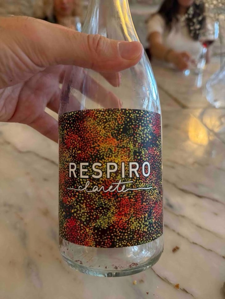 Respiro - Cabeças do Reguengo - João Afonso 