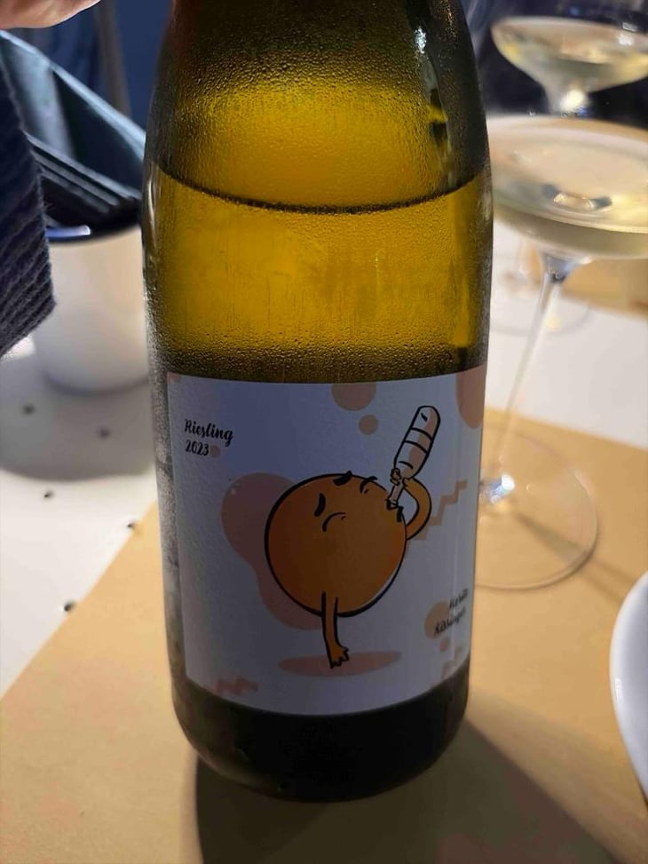 Riesling - Weingut Kissinger - Moritz Kissinger -2021