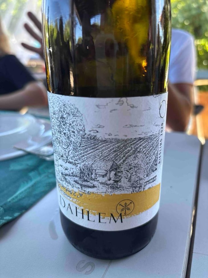 Riesling - Hofgut Dahlem - Jochen & Lorenz Dahlem 