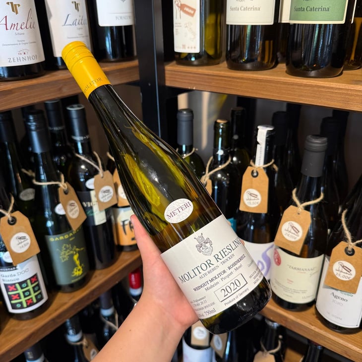 Riesling Molitor - Weingut Molitor - Markus Molitor 