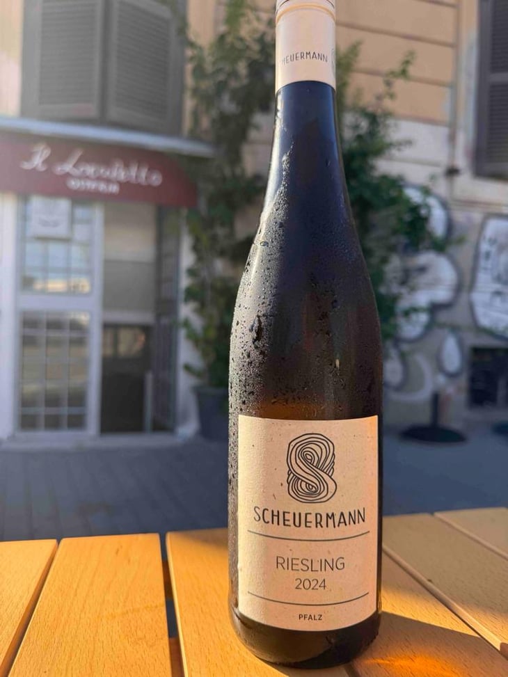 Riesling Trocken - Weingut Scheuermann - Gabriel & Simon Scheuermann 