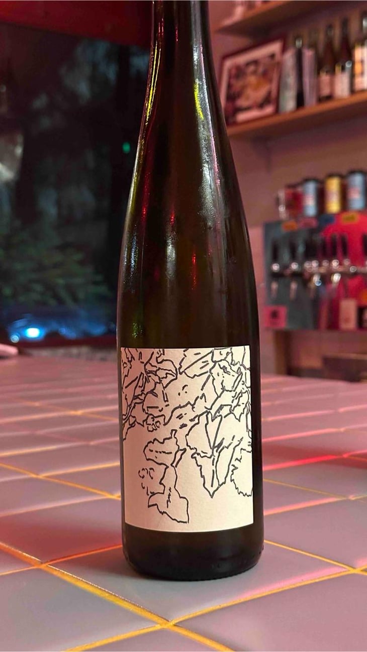 Riesling - Goepp Gerard et Fils - Clément & Sylvain Goepp -2021