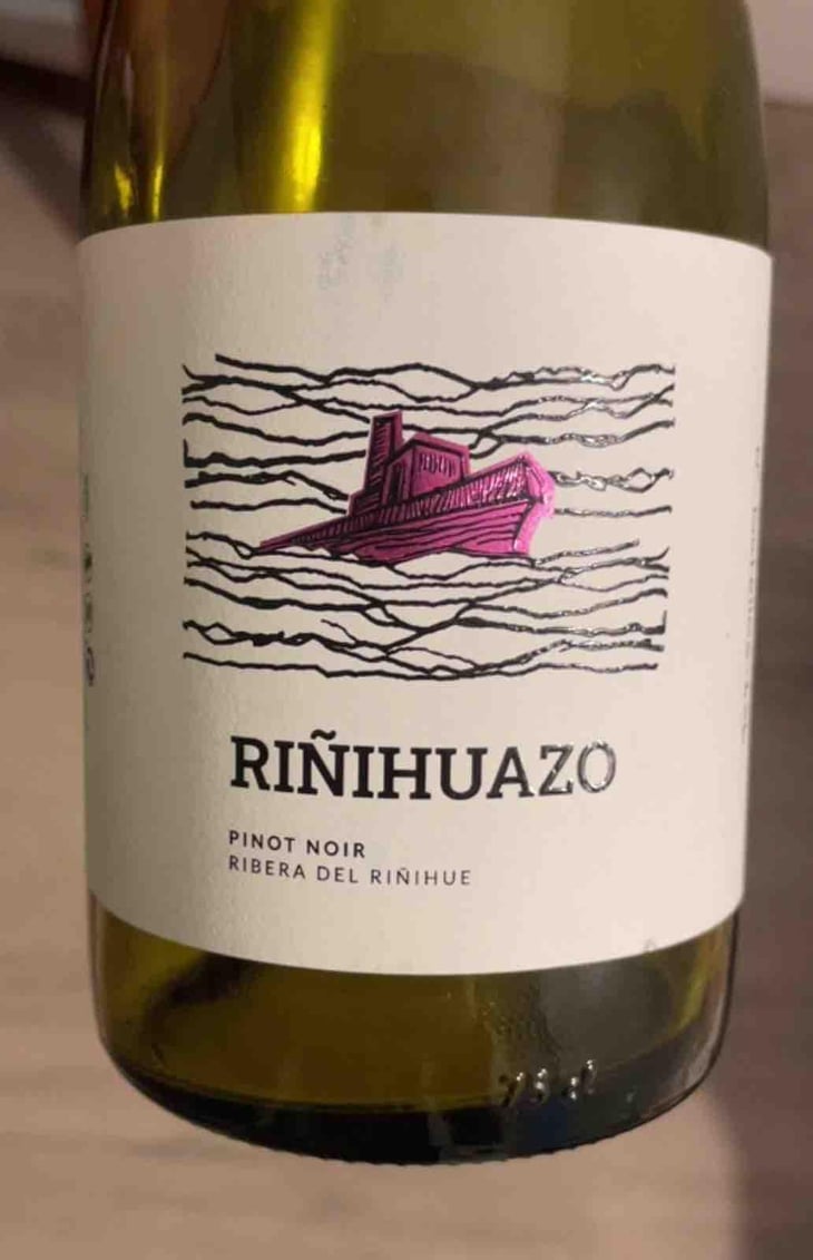Riñihuazo - Ribera del Riñihue - Camilo hornauer -2024