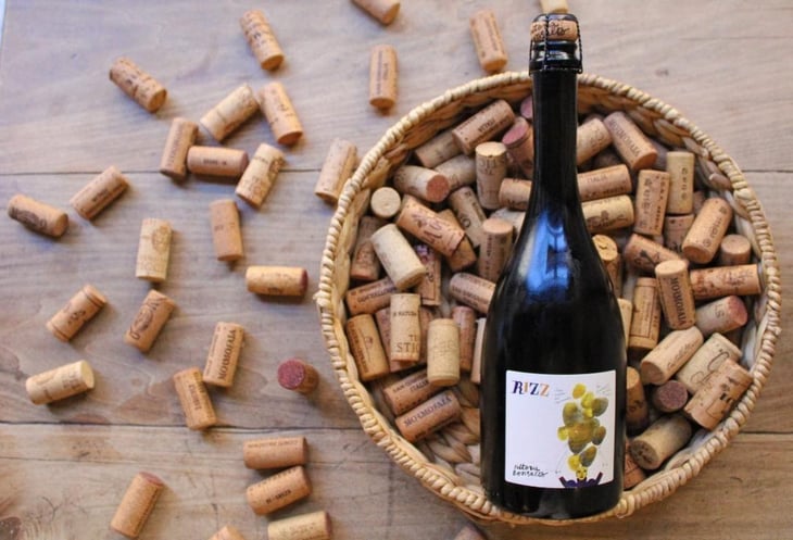 Rizz - Fattoria Bonsalto - Famiglia Paci 