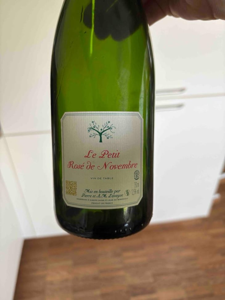 ROSE DE NOVEMBRE - Le Petit Domaine de Gimios - Anne-Marie Lavaysse -2024