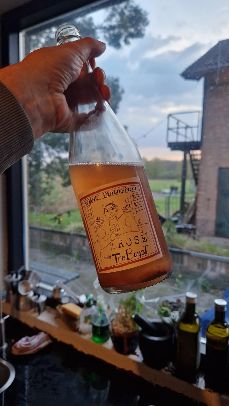 Rosé & the Beast - Soc. Coop. Agr. Valli Unite - Valli Unite -2021