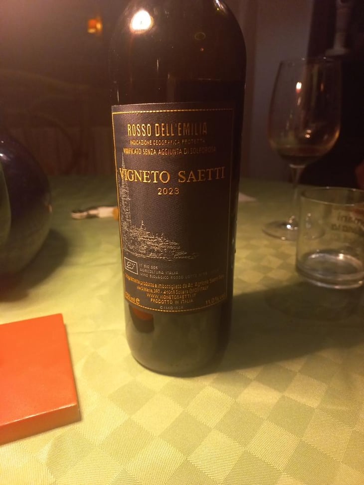 Rosso Dell' Emillia - Vigneto Saetti - Luciano & Sara Saetti -2023