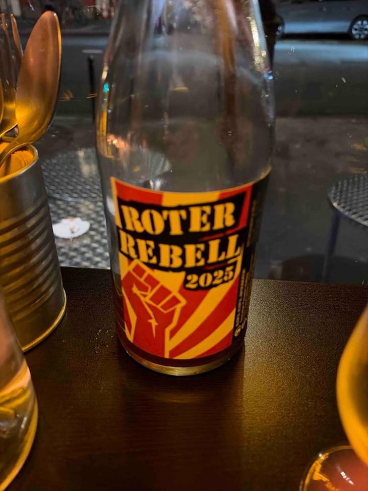 Roter Rebell - Domaine Pascal Treichler - Pascal Treichler -2022