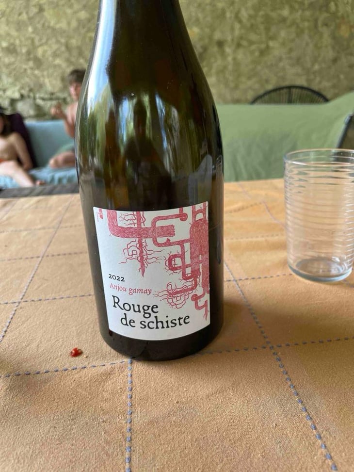 Rouge De Schiste - Terra Vita Vinum - Bénédicte & Luc Briand 