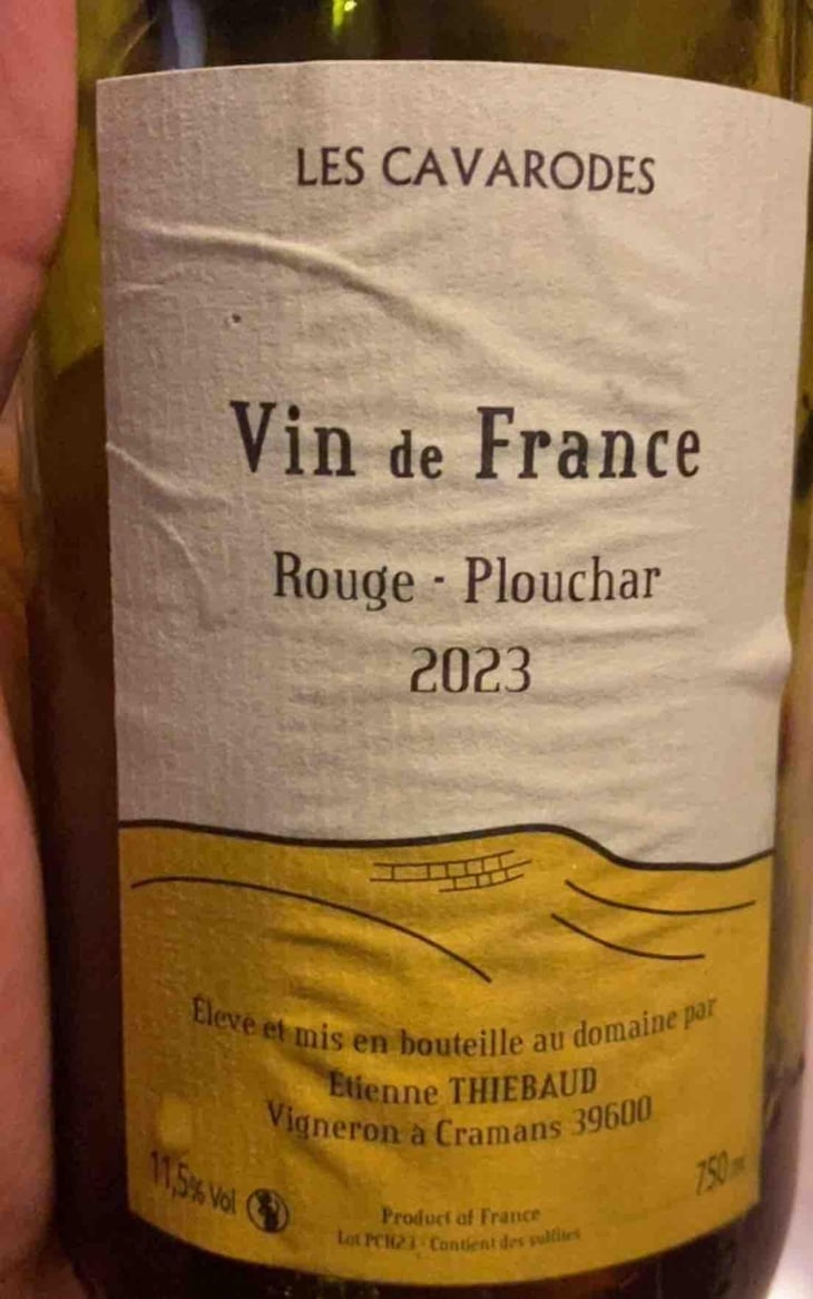 Rouge - Plouchar - Domaine des Cavarodes - Etienne Thiebaud -2023