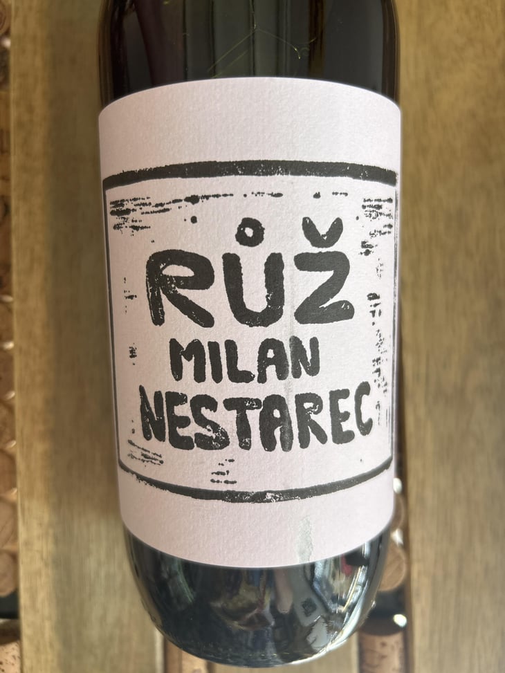 RUZ - Milan Nestarec - Milan Nestarec -2020