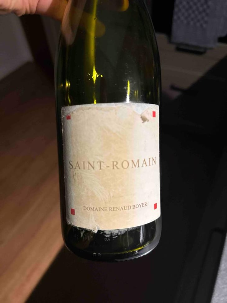 Saint Romain Rouge - Domaine Renaud Boyer - Renaud Boyer -2021
