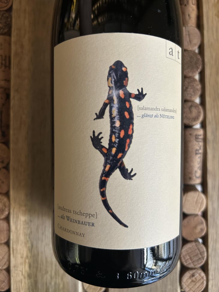 Salamander - Morillon - Weingut Andreas & Elisabeth Tscheppe - Andreas & Elisabeth Tscheppe 