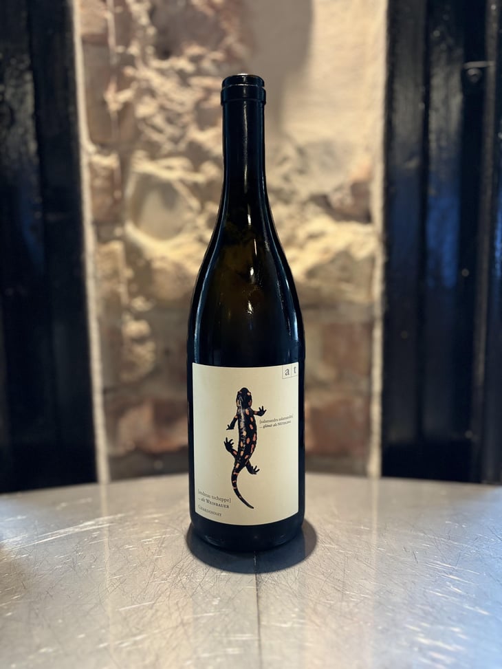 Salamander - Morillon - Weingut Andreas & Elisabeth Tscheppe - Andreas & Elisabeth Tscheppe 