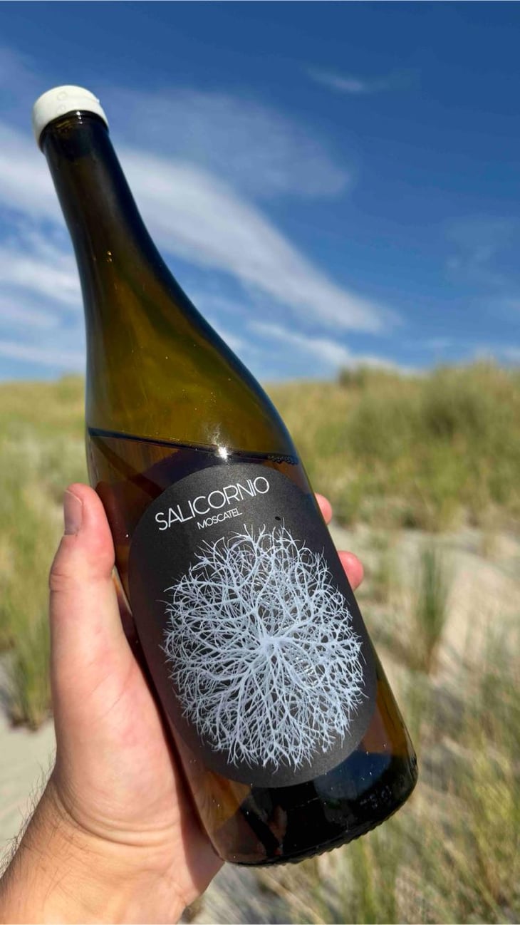 Salicornio Moscatel - Finca Casa Balaguer - Marta Ribera & Andres Carull 