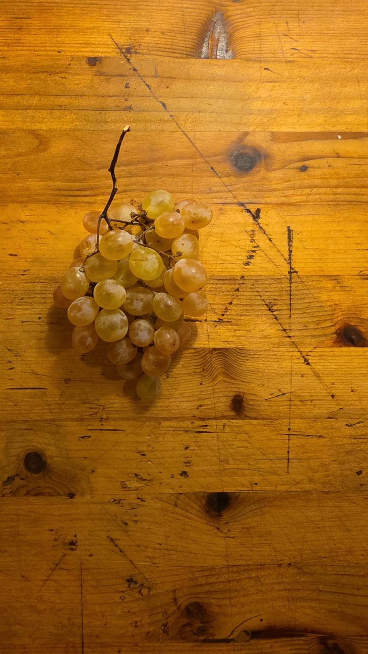 San Colombano - Enoteca Marilu - 1397786