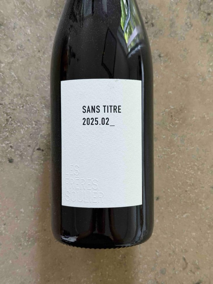 Sans titre 2025.02_ - Les Frères Soulier - Guillaume & Charles Soulier -2025