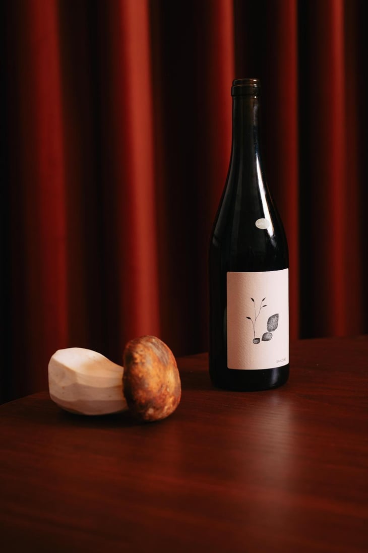 Sanvez - Tenuta Saiano - Manlio Maggioli, Alex Fulvi -2023