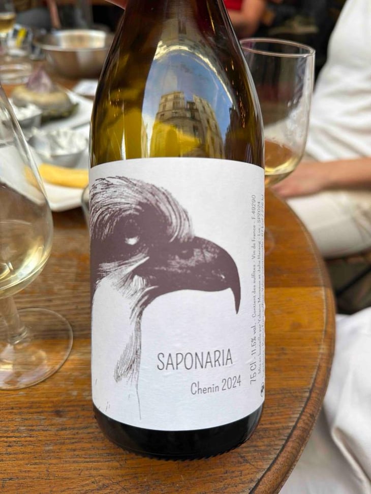 Saponaria - Yohann Moreaux - Balbuzard - Yohann Moreaux -2023