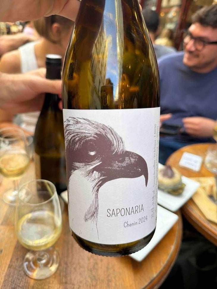 Saponaria - Yohann Moreaux - Balbuzard - Yohann Moreaux -2023