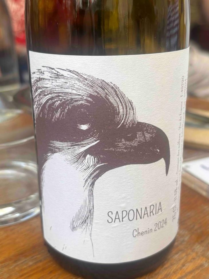 Saponaria - Yohann Moreaux - Balbuzard - Yohann Moreaux -2023