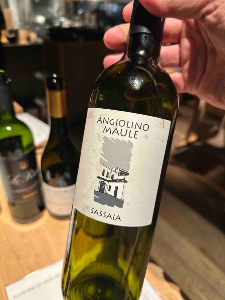 Sassaia - Azienda Agricola La Biancara - Angiolino Maule 