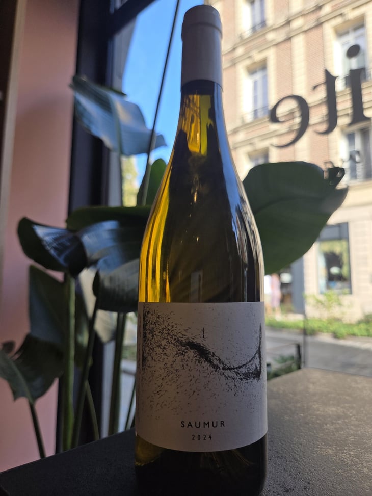 Saumur - Brendan Stater West - Brendan Stater West -2019